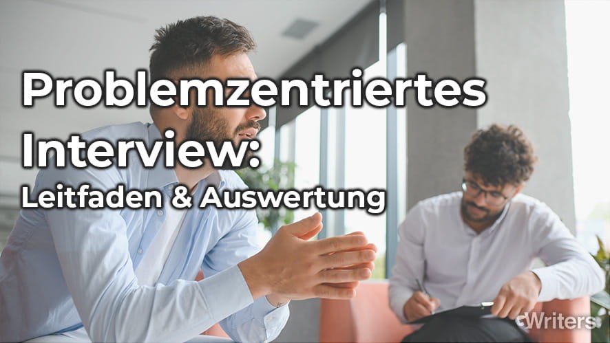 problemzentriertes interview