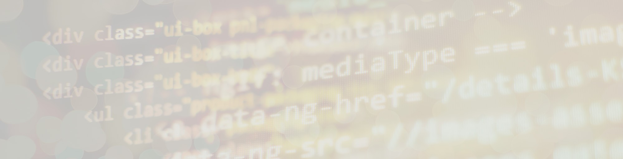 informatik ghostwriter